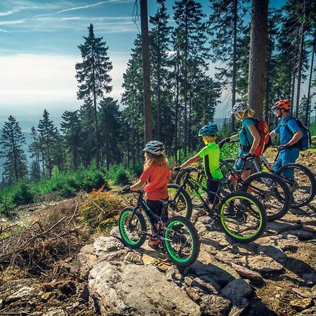 Ski Villa Rubicon Loučná pod Klínovcem Buitenkant foto